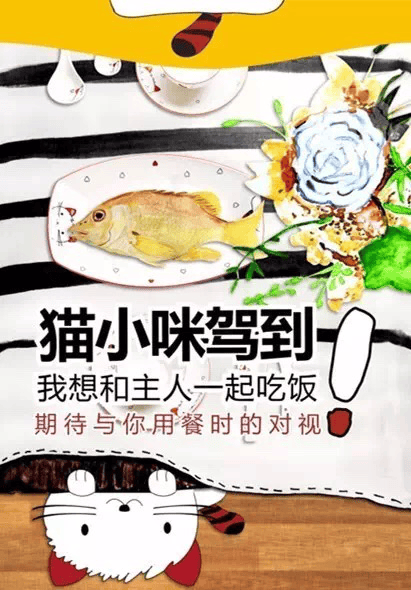 日用陶瓷猫幼咪系列